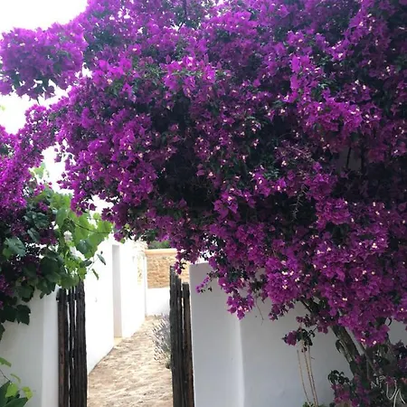 Can Bonet De Baix De Cas Micali 펜션 Santa Gertrudis (Ibiza)